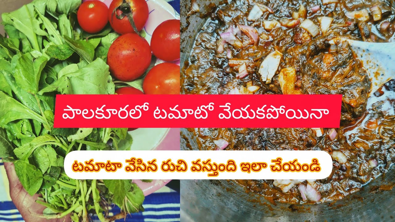 టమోటా వేయకపోయినా టమాటా వేసిన రుచి రావాలంటే ఇలా ఒకసారి ట్రై చేయండి## పాల కూర,చుక్క కూర  రెసిపీ
