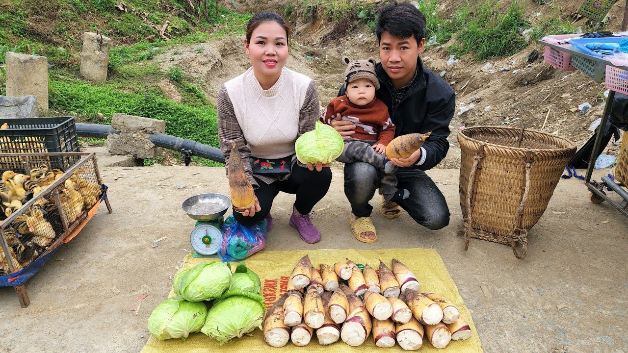 FULL VIDEO: Harvesting Bamboo shoots, Green vegetables, shopping, Cooking, Pet care