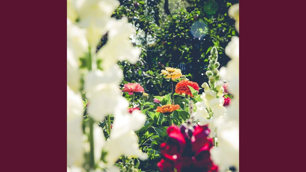 Florescente