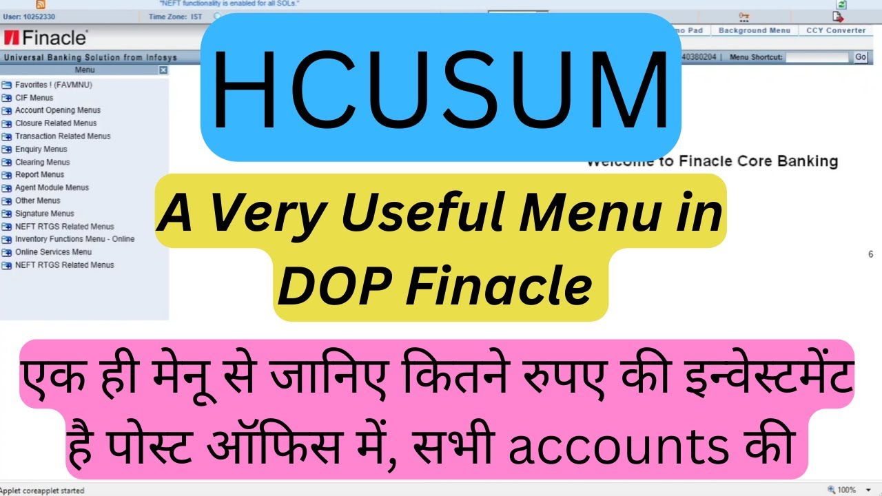 HCUSUM Menu in DOP Finacle
