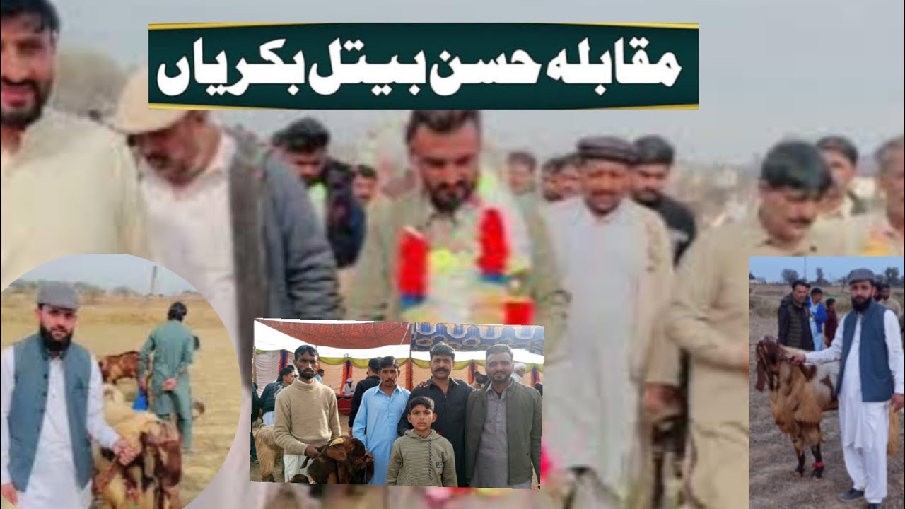 میلہ حُسنِ بیتل بکریاں نٹائن Mela Beetal bakri Pothwer |Vlog Nakki channel 