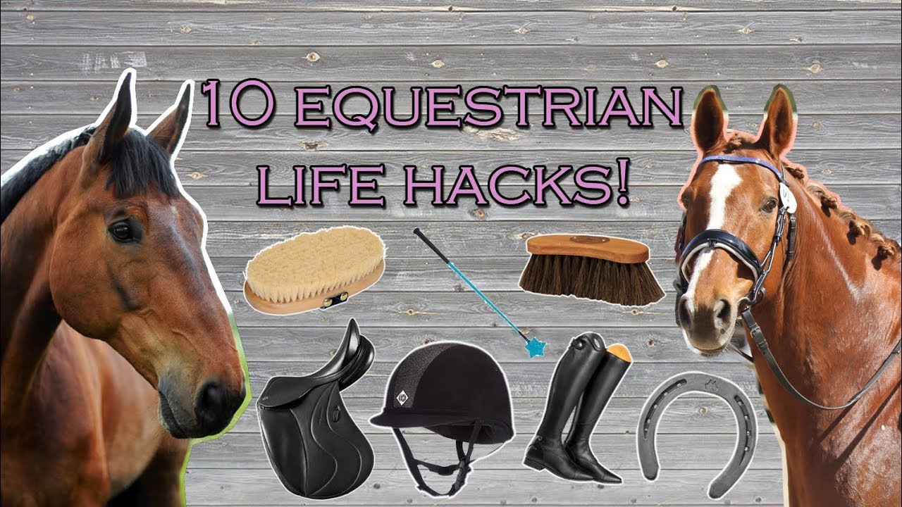 10 EQUESTRIAN LIFE HACKS