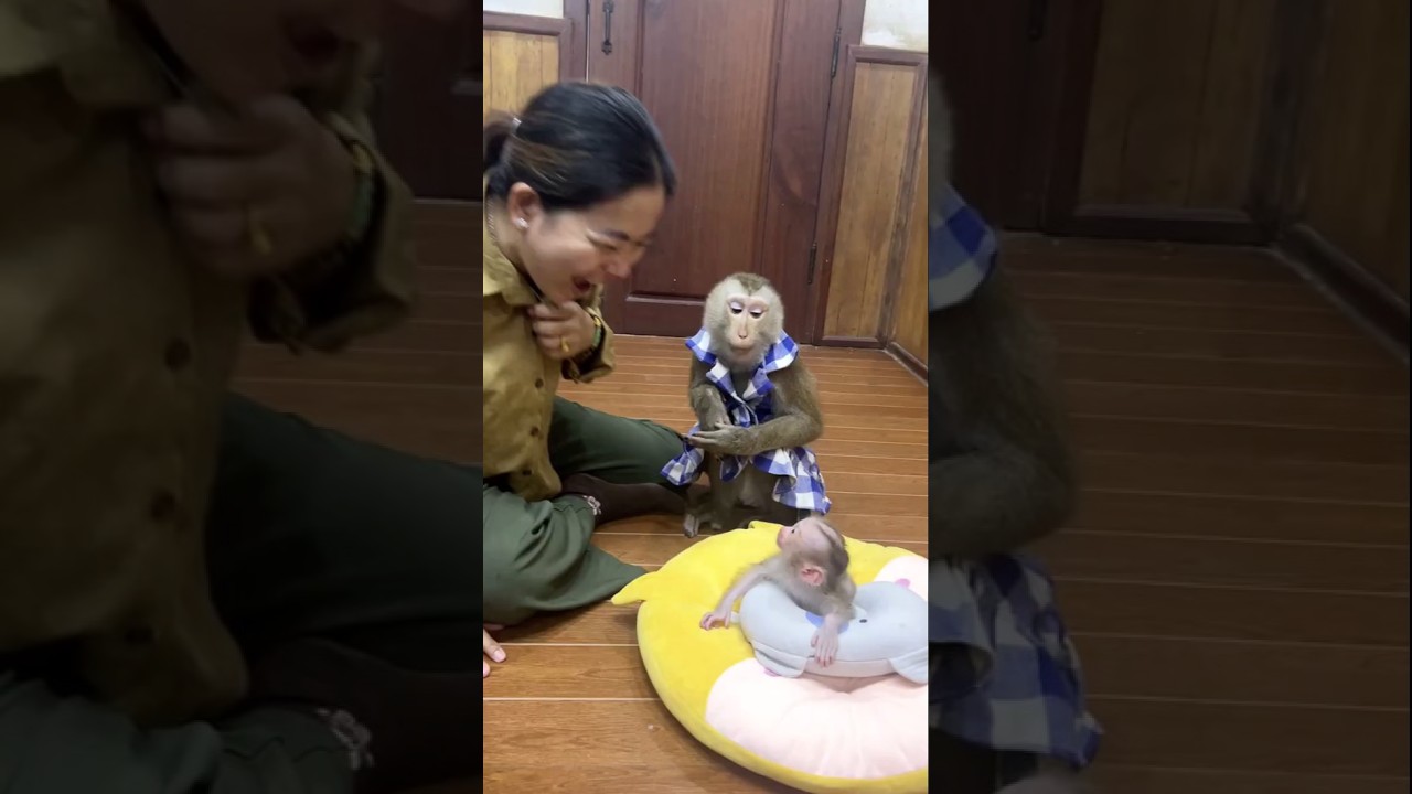 Extremely Sweet & Adorable Tiny Jumie HILARIOUS REACT To Her Mom & Judy