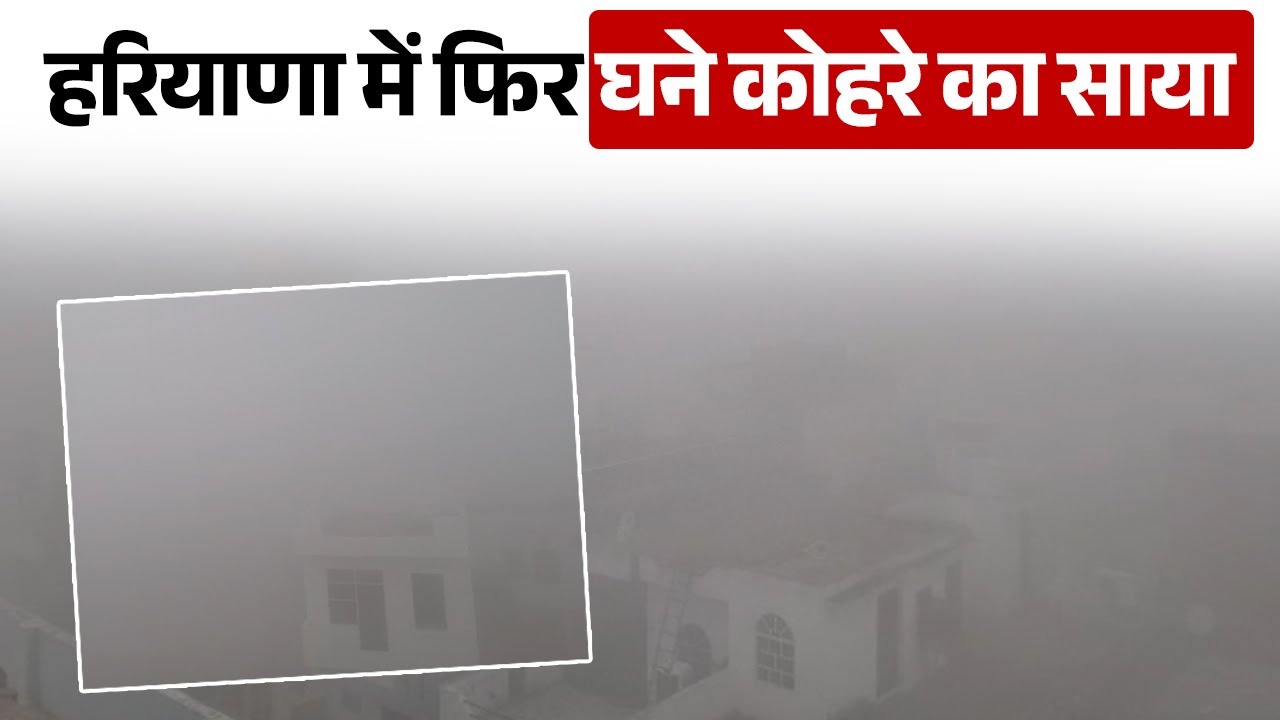 Haryana में फिर घने कोहरे का साया, जीरो विजिबिलिटी, जानें कब मिलेगी राहत