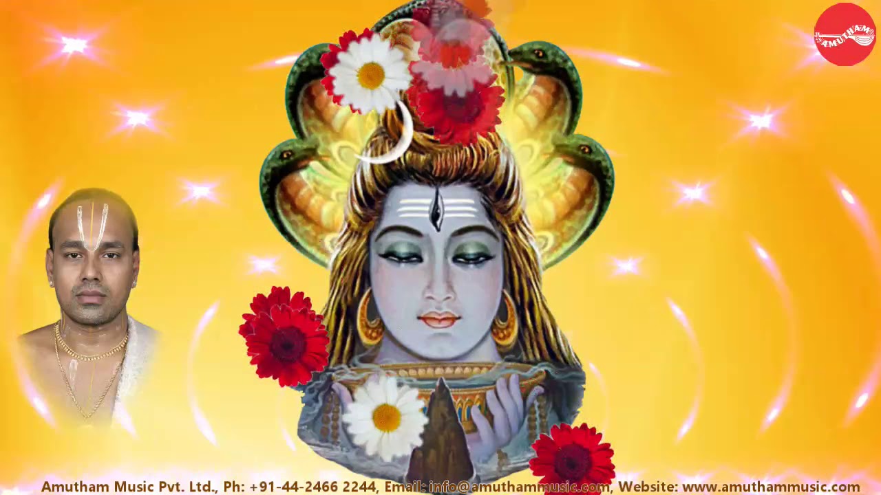 Sri Rudram - Vedha Gosham - Malola Kannan (Full Verson)