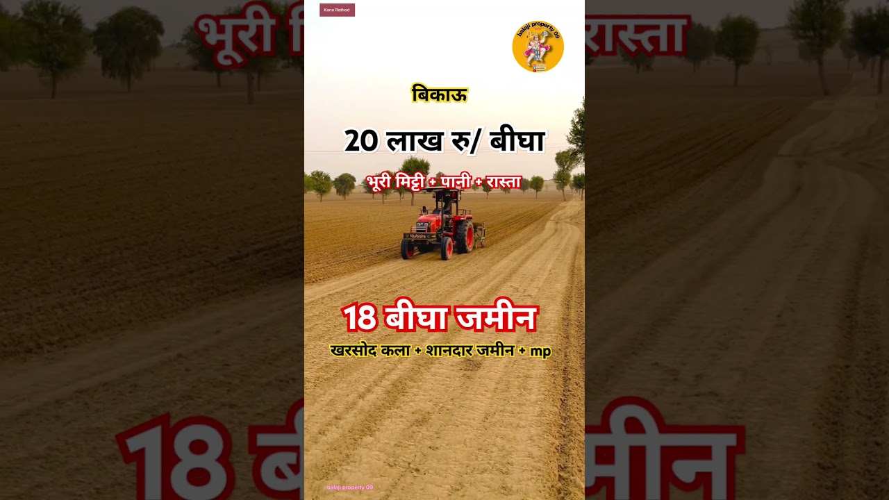 18 bigha agriculture land for sale in madhya pradesh।। agriculture land sale।। property।। 