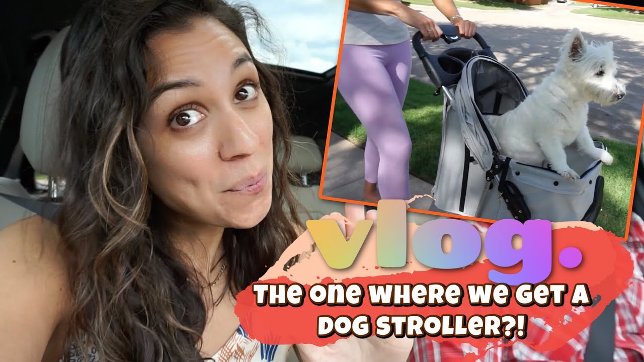 VLOG | The one where we get a dog stroller and new dinnerware🍽!