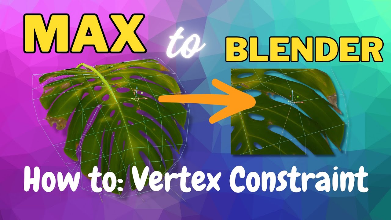 Max to Blender - Vertex Constraint