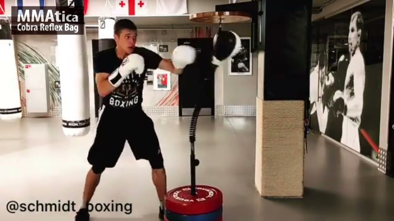 Cobra Reflex Bag MMAtica - напольная боксерская груша для дома и зала