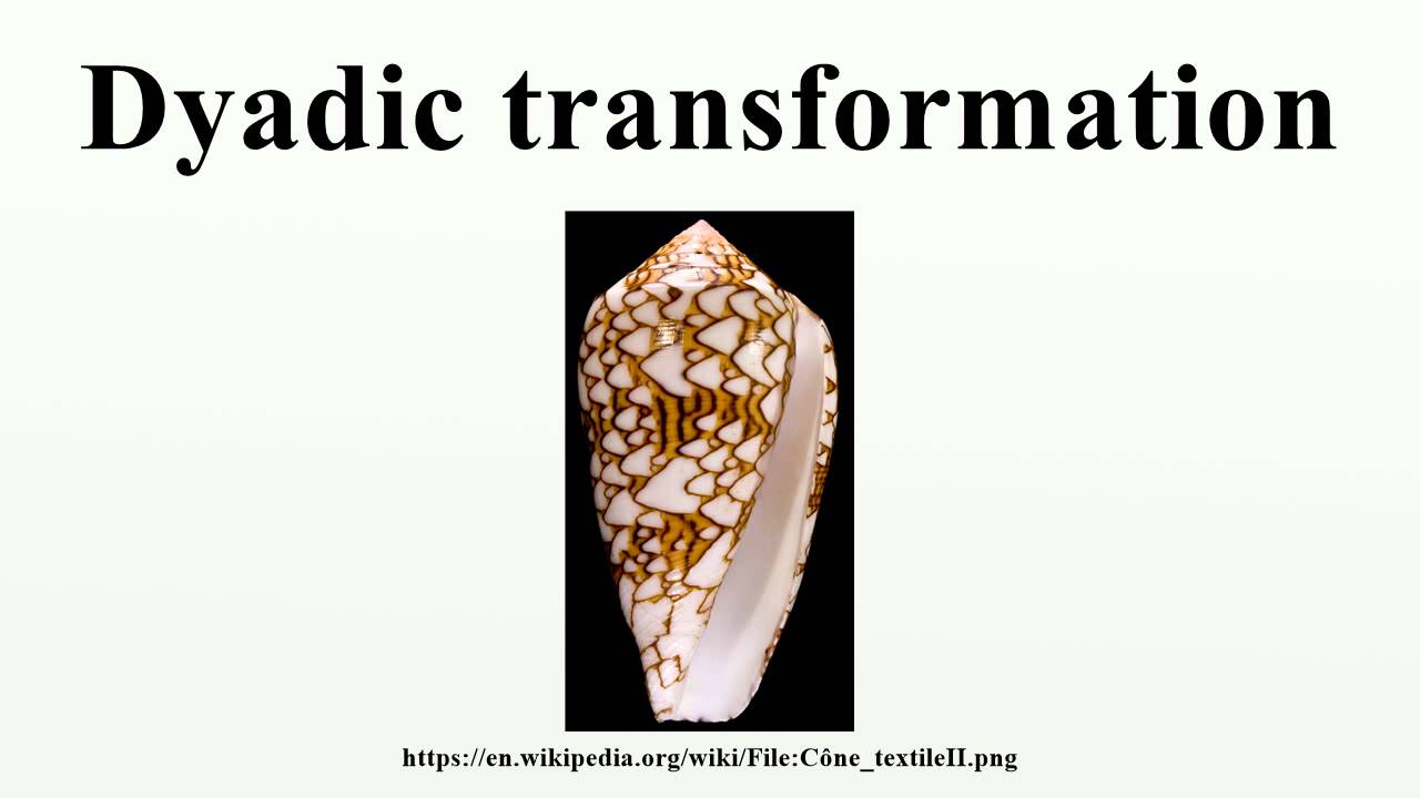 Dyadic transformation