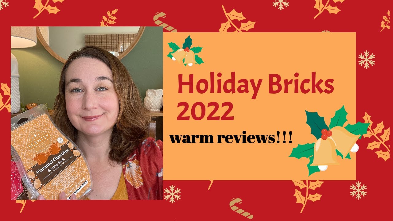 Warm Review of 2022 Holiday Bricks!