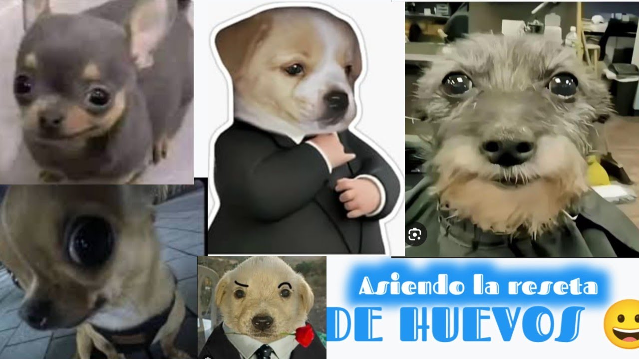 Reseta de huevo 😅