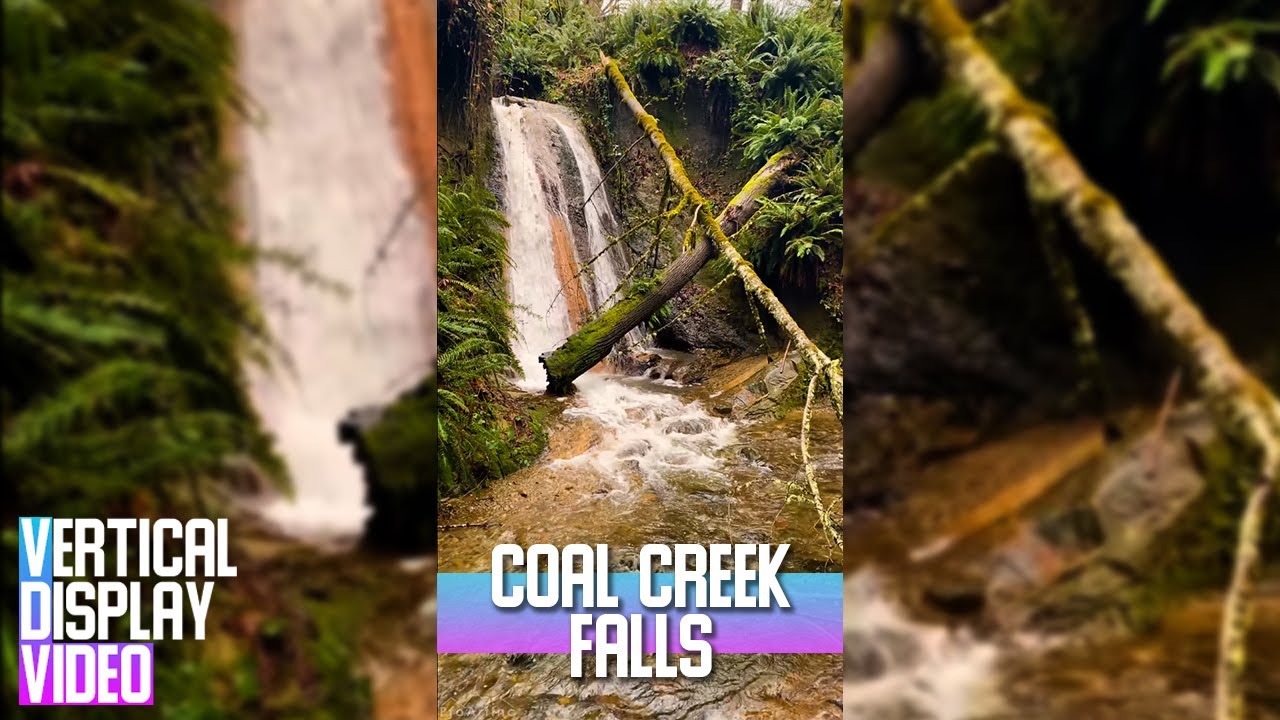 3HRS Forest Waterfall for Tablets & Phones - 4K Scenic Nature + Water & Birds Sound - Vertical video