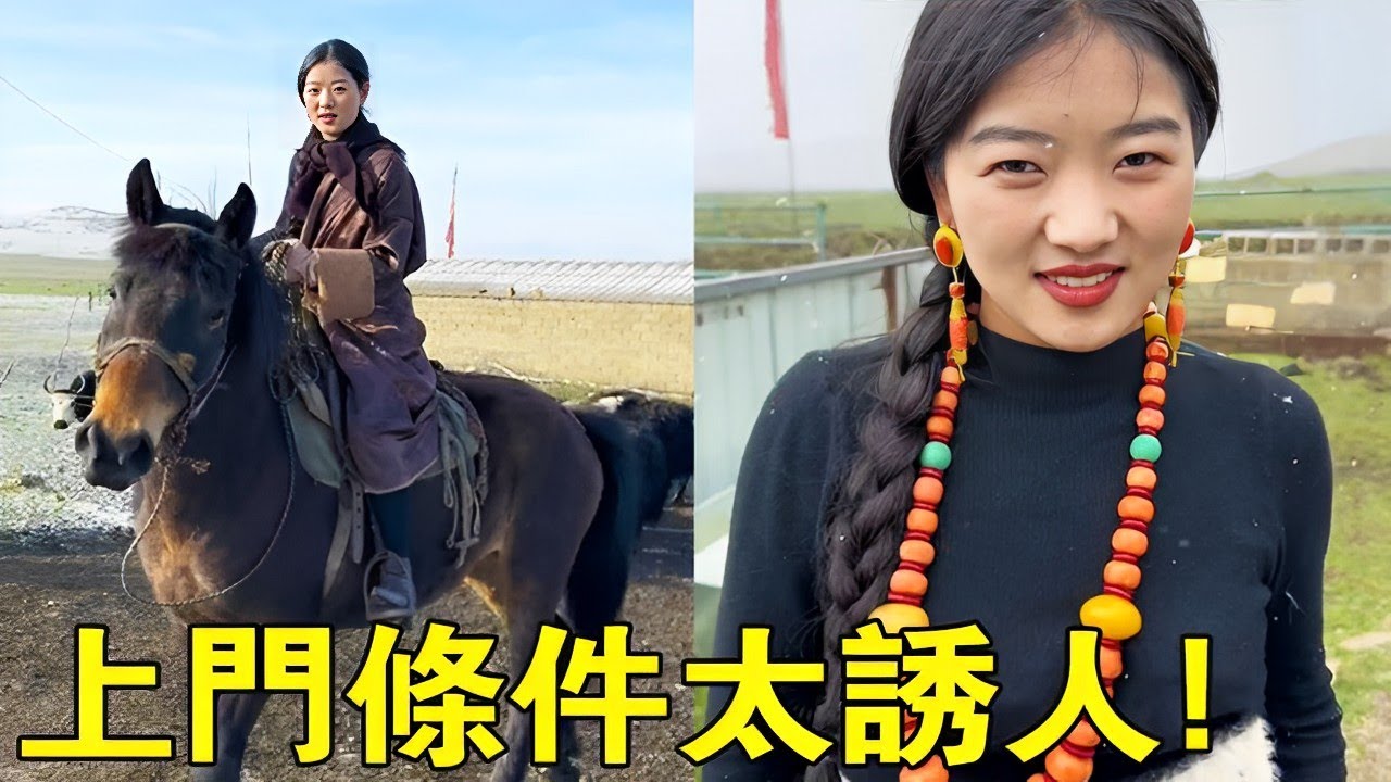 草原上偶遇放犛牛的阿妹，帶我騎馬擠奶看流星，給300頭牛招上門女婿，太心動了！【王一點】