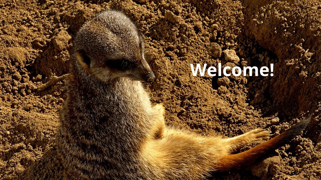 Welcome &ndash; A Young Wildlife Photographer&rsquo;s Journey