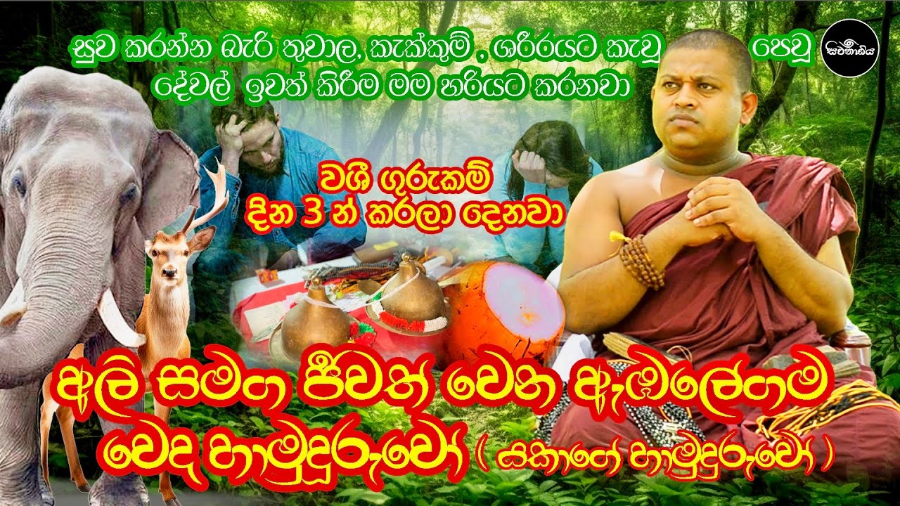 අලි සමග ජීවත් වන, තුවාල හා අසනීප නිට්ටාවට සුව කරන, වශී ගුරුකම් දින 3 න් කරන ඇඹලේගම වෙද හාමුදුරුවෝ