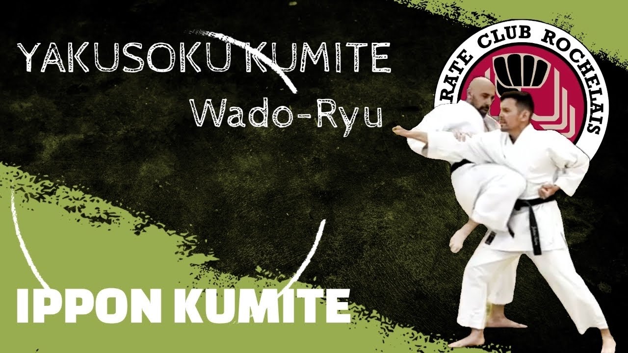Ippon Kumite - Karate Wado Ryu