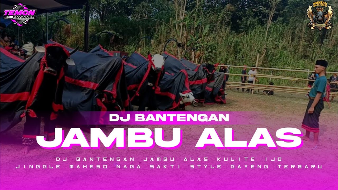 DJ Bantengan Jambu Alas Jinggle Maheso Naga Sakti‼️