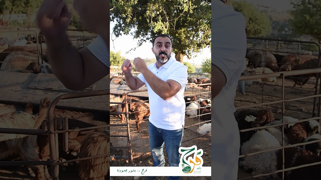 هذا الفيديو موجه الى الشرفاء الاوفياء من ابناء هذا الوطن ...