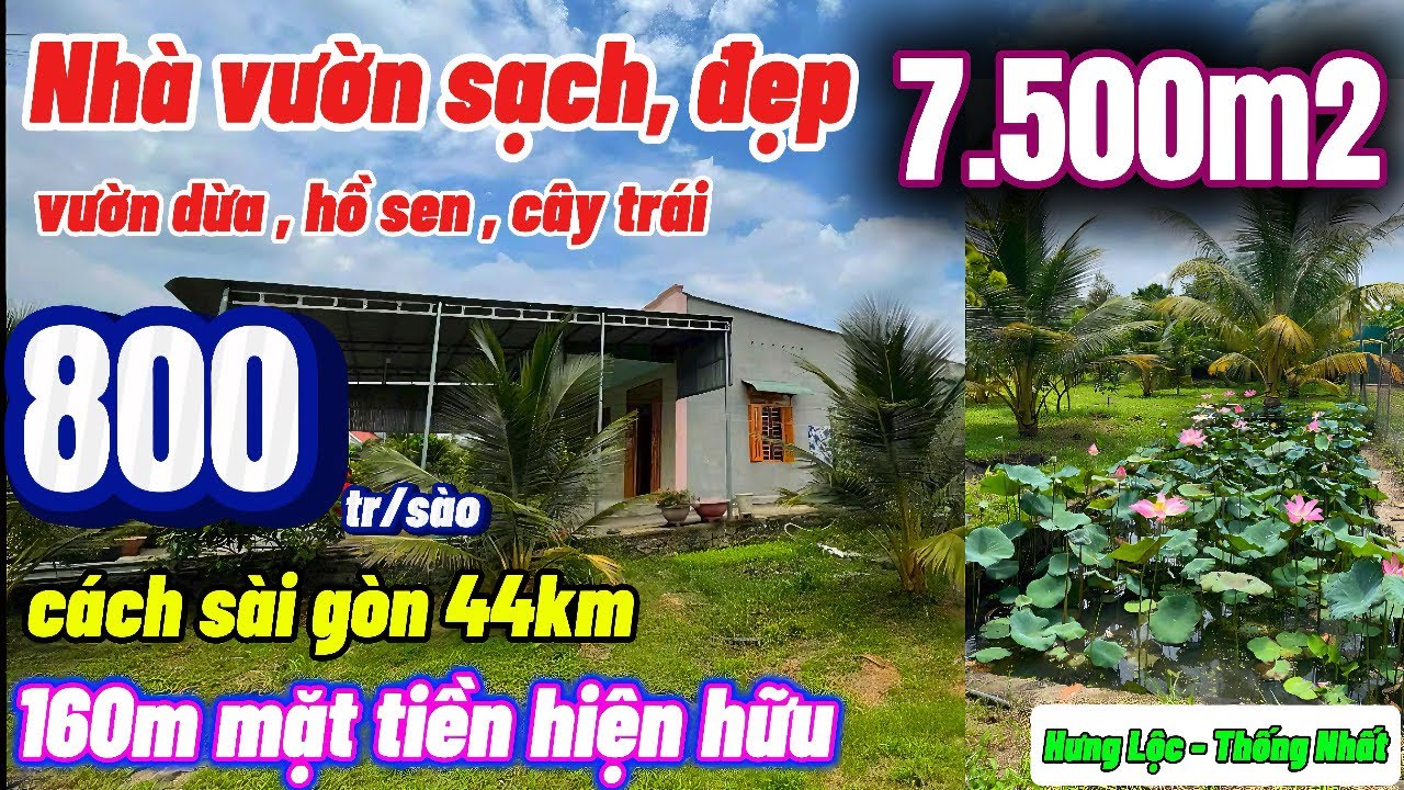 Nhà đất đồng nai, cô chú lớn tuổi bán gấp nhà vườn cây trái tâm huyết cực đẹp Gần quốc lộ 1A gần KCN
