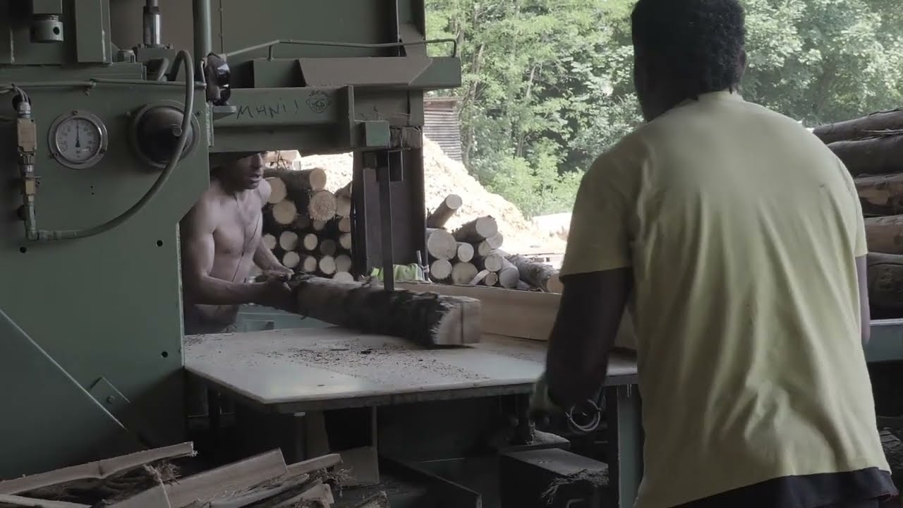 #shorts le sciage du ch&acirc;taignier