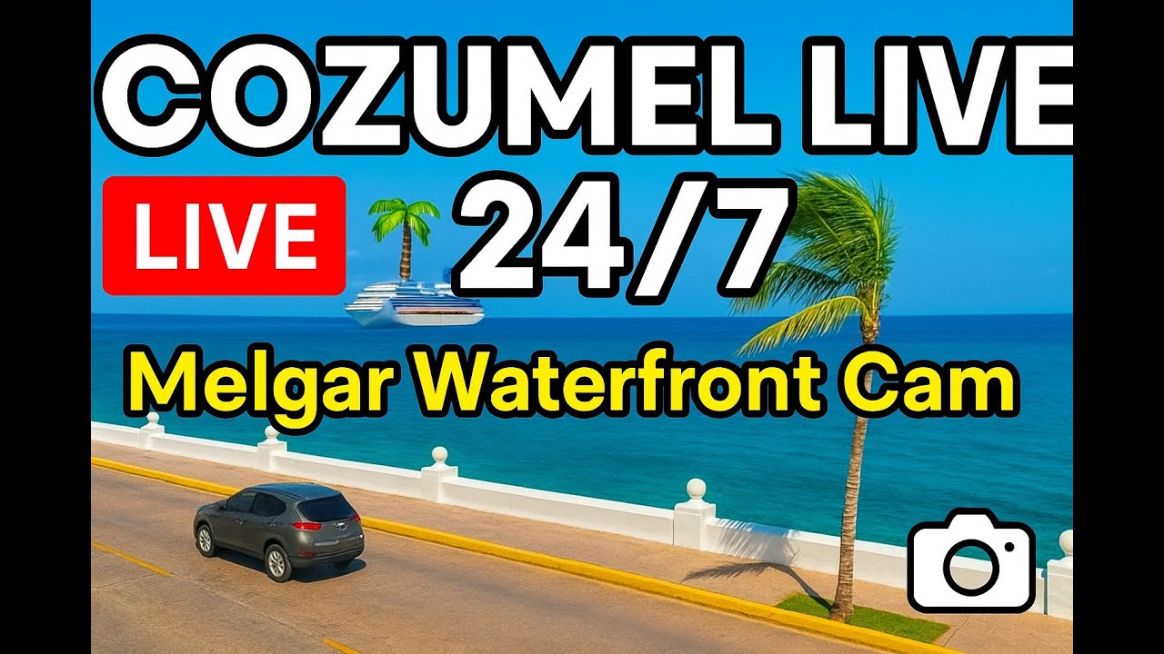 🌴 LIVE: Cozumel Waterfront 24/7 – Melgar Ocean View | Ferries, Cruise Ships, Sunset and Island Life