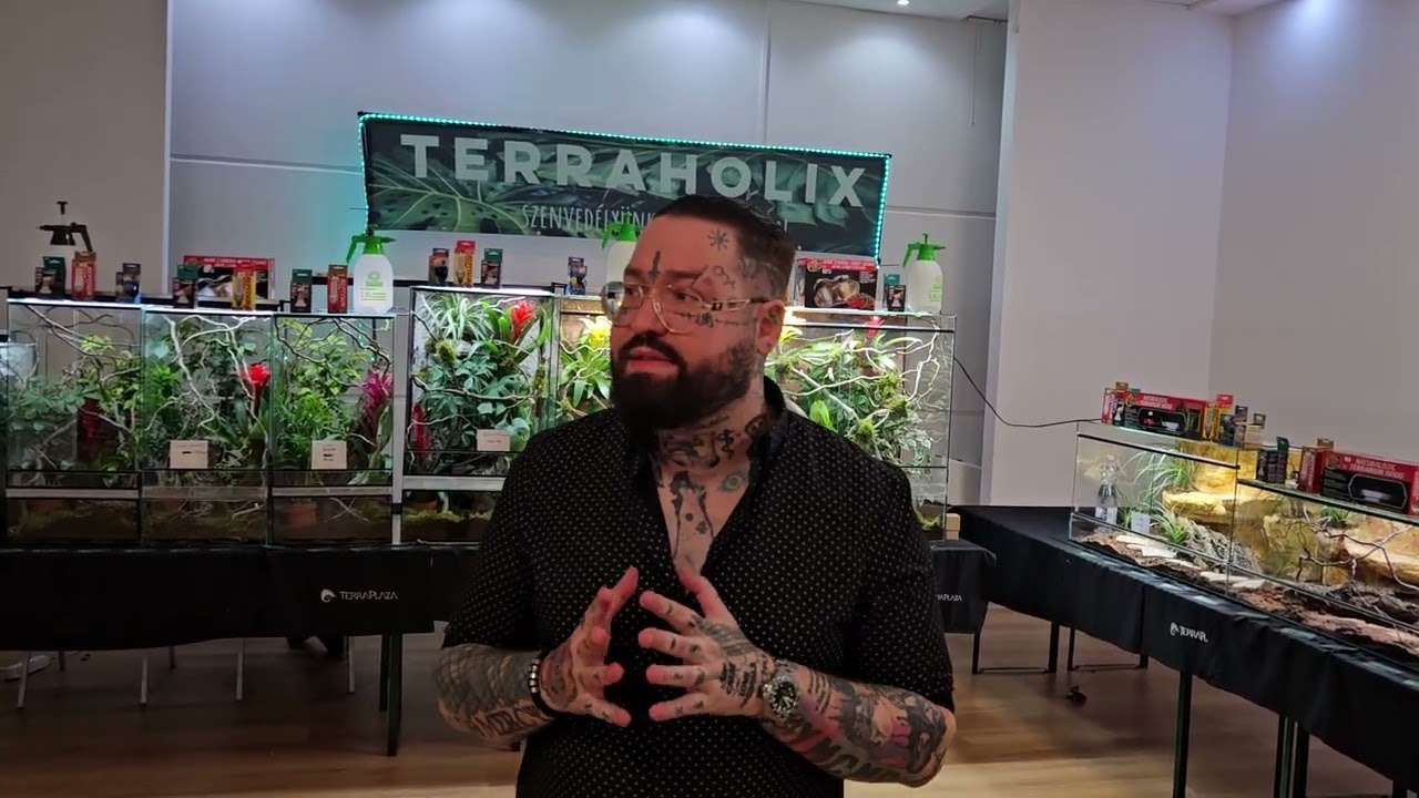 TerraPlaza 57th + A kaméleon étrendje EXPLAINED