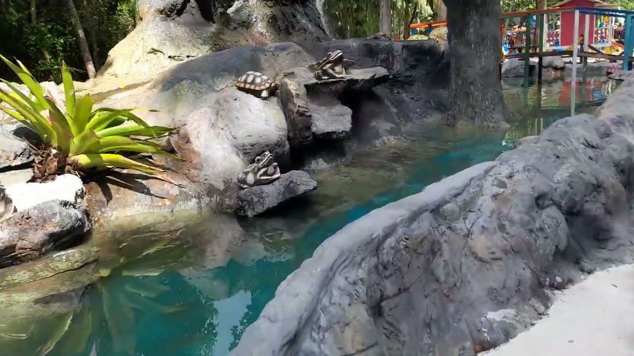 indo no parque aquatico