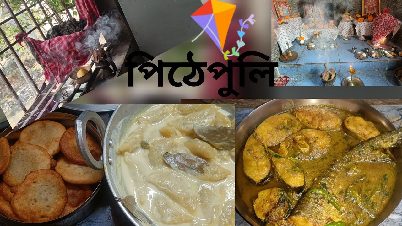 মকর সংক্রান্তি ভ্লগ 🪁🫶♥️ #dailywithpuja #makarsankranti 