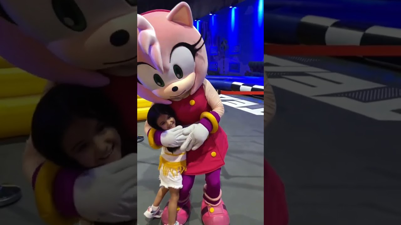 Amy Rose Gamers World