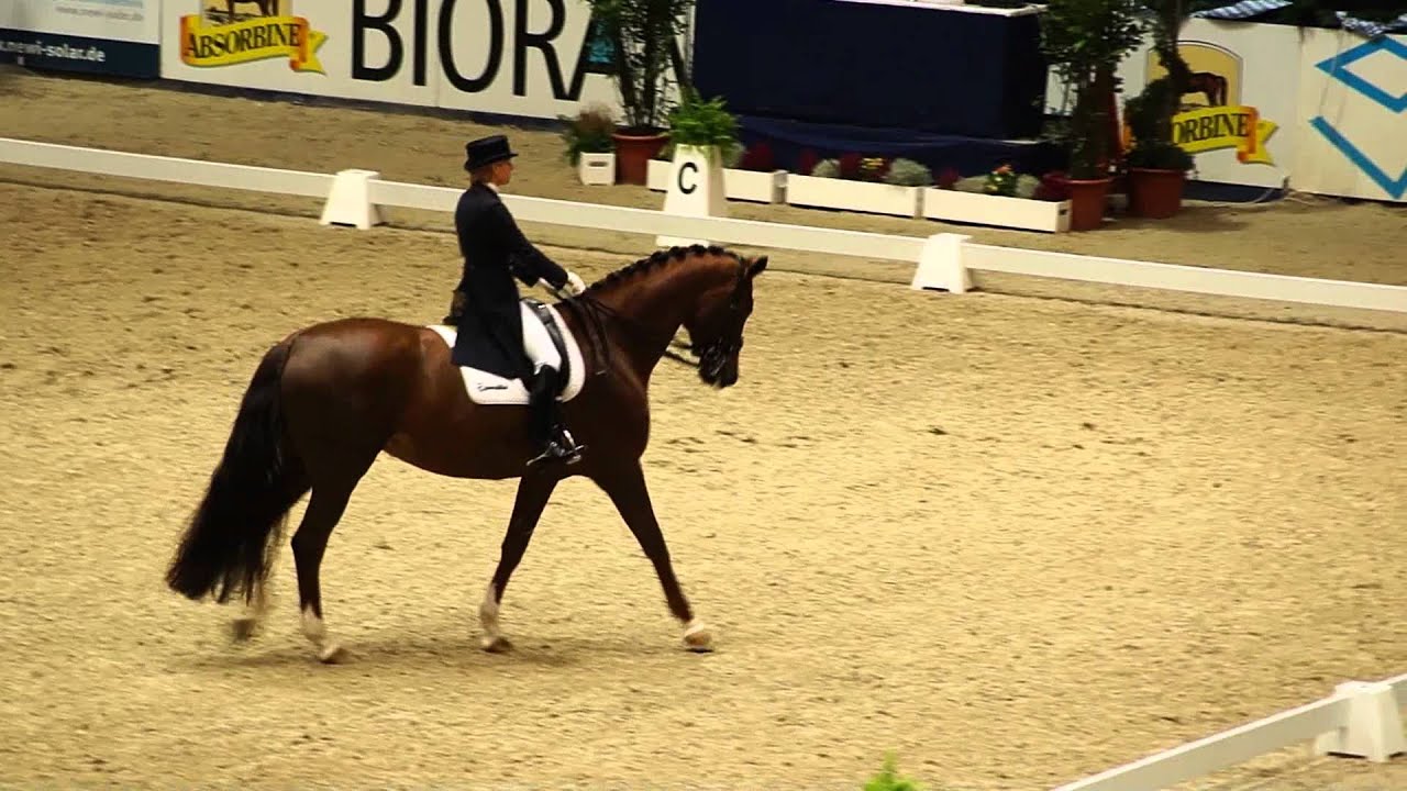 Nadine Capellmann&Girasol Munich Indoors 2011