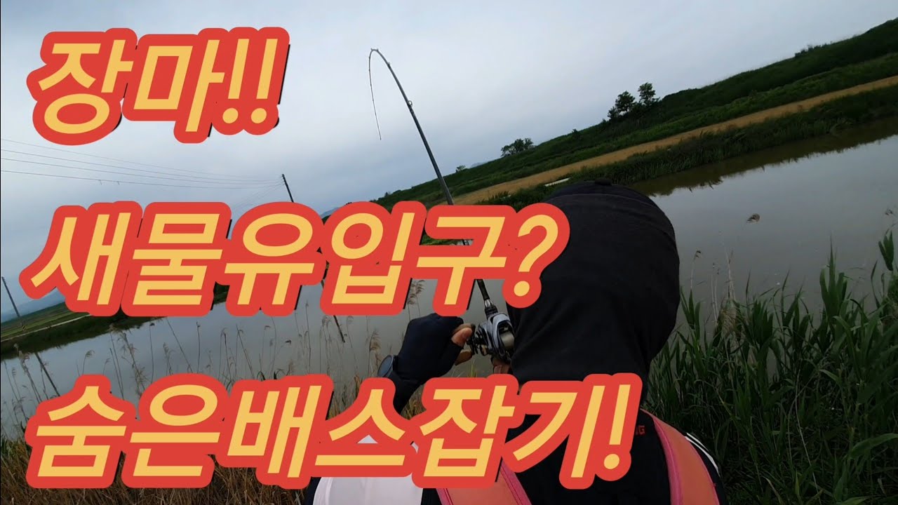 #배스낚시 #장마 #농수로 #다운샷 장마! 새물유입구? 숨은배스잡기!