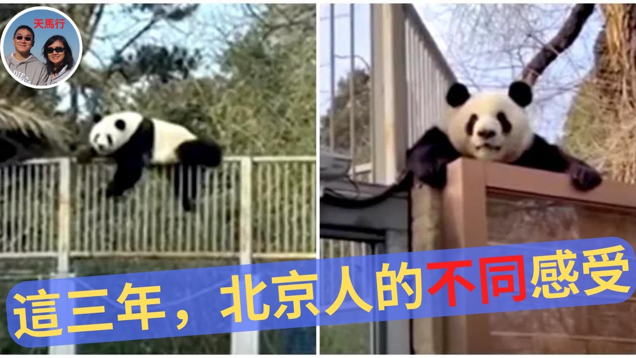 四年后回國，發現鄰居朋友對三年疫情的感受差別很大！Changes in Beijing After 4 Years