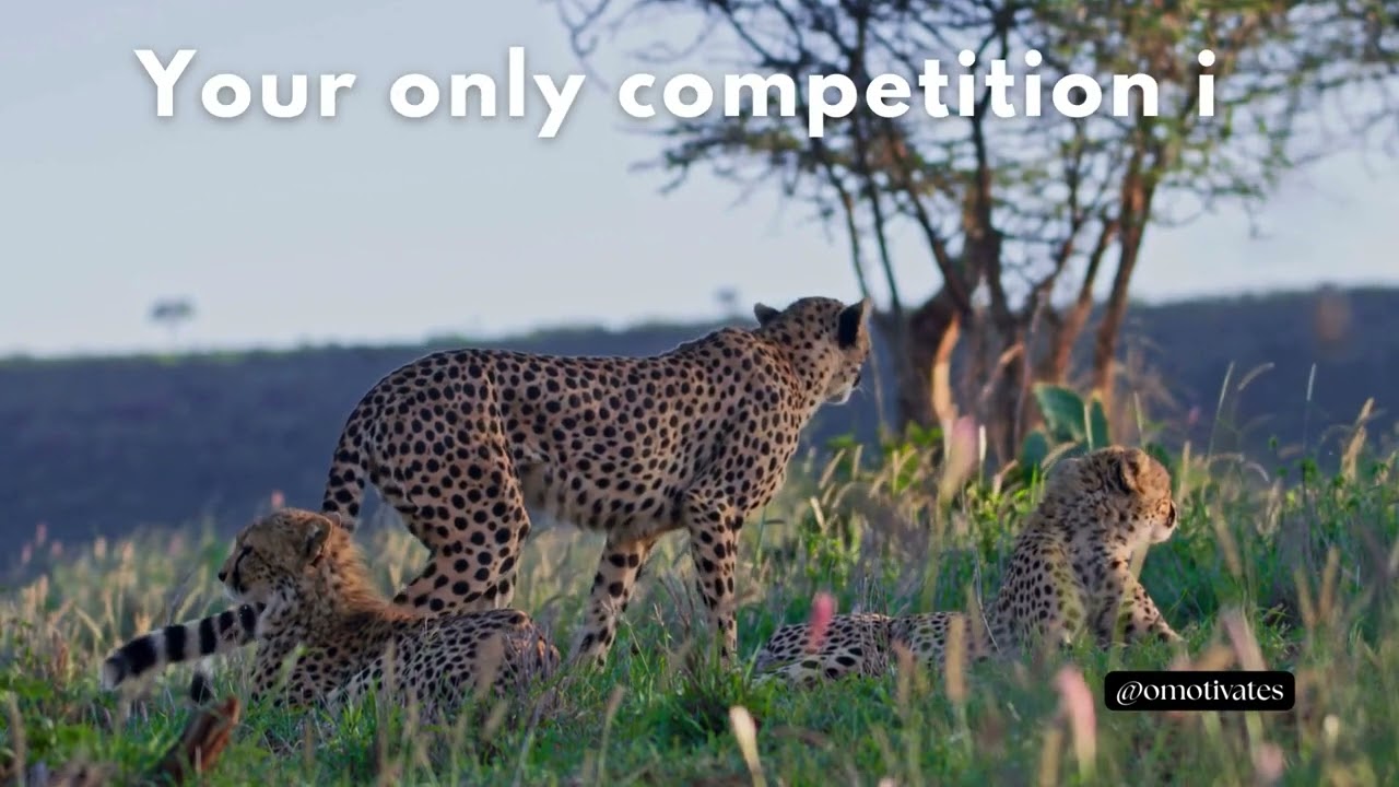 Your Only Competition Is You | Growth Mindset 