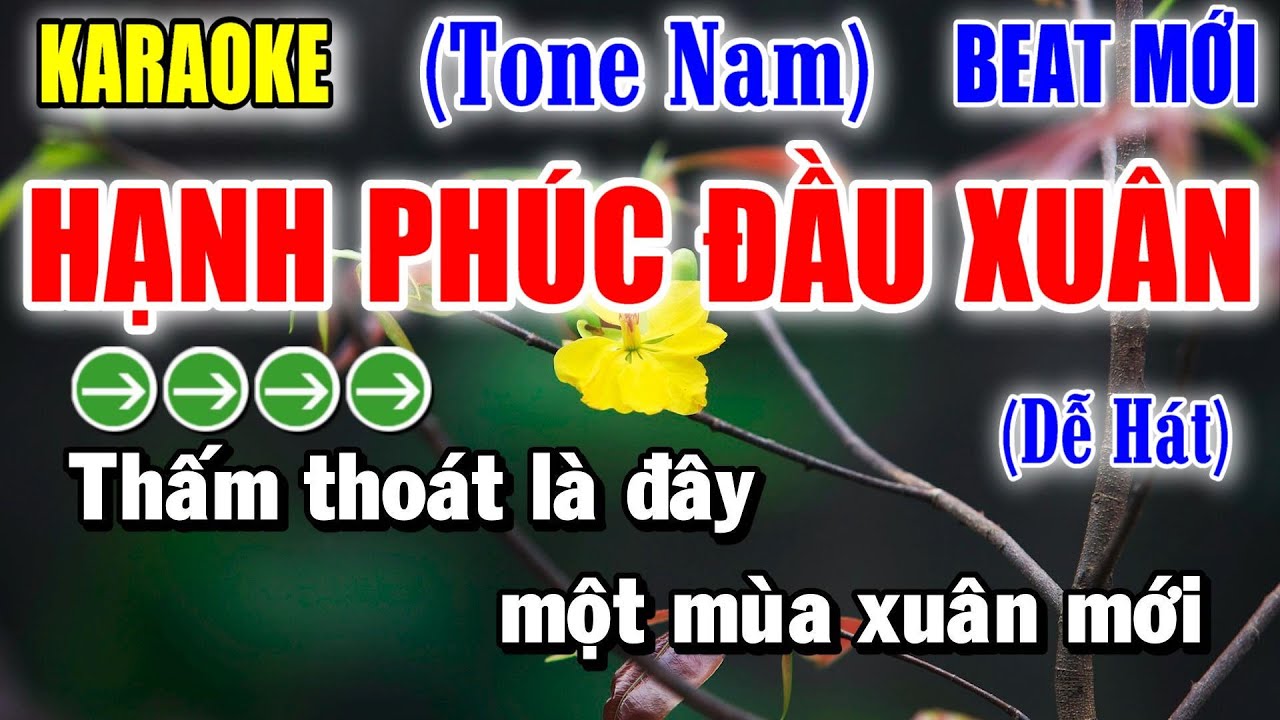 Hạnh Phúc Đầu Xuân - Karaoke Tone Nam ✦ Beat Mới | Yêu ca hát - Love Singing |