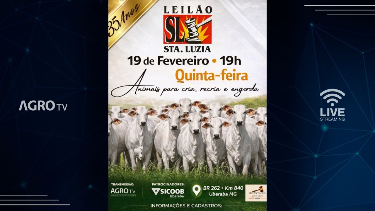 LEILÃO SANTA LUZIA - 19/02/2026