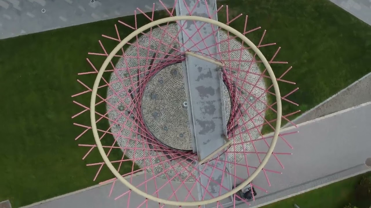 Best of 2024 | Birds Eye View