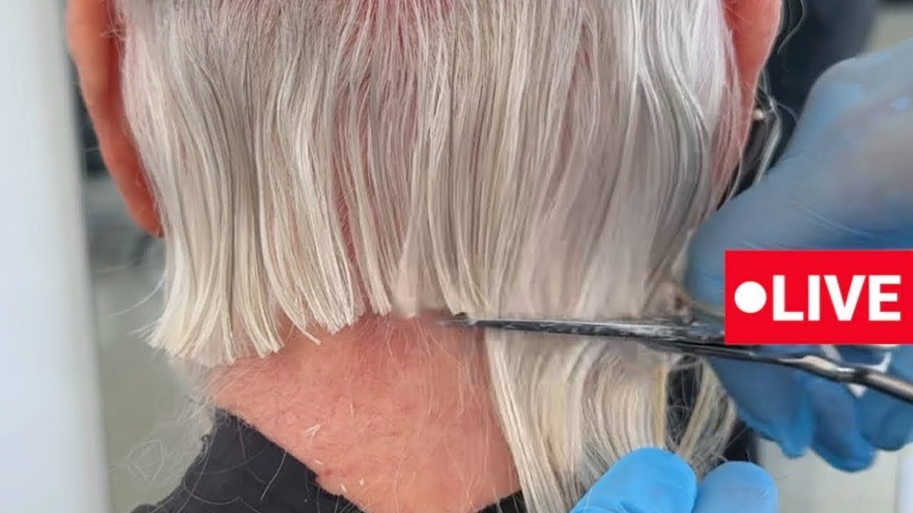 STUNNING Haircuts by Vivyan Hair Design! 💜✨🤩 #haircut #hairstyle #shorthair #longhair #hairtutorial