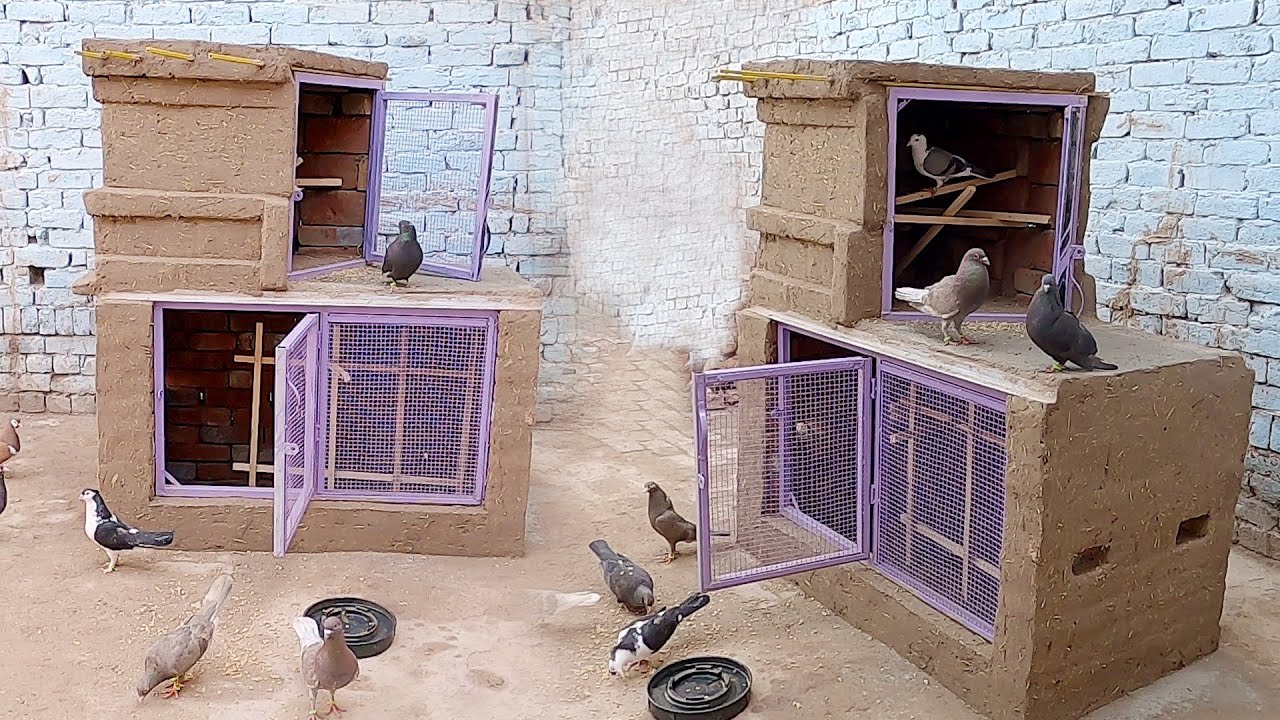 How to make a double story new design pigeon house
