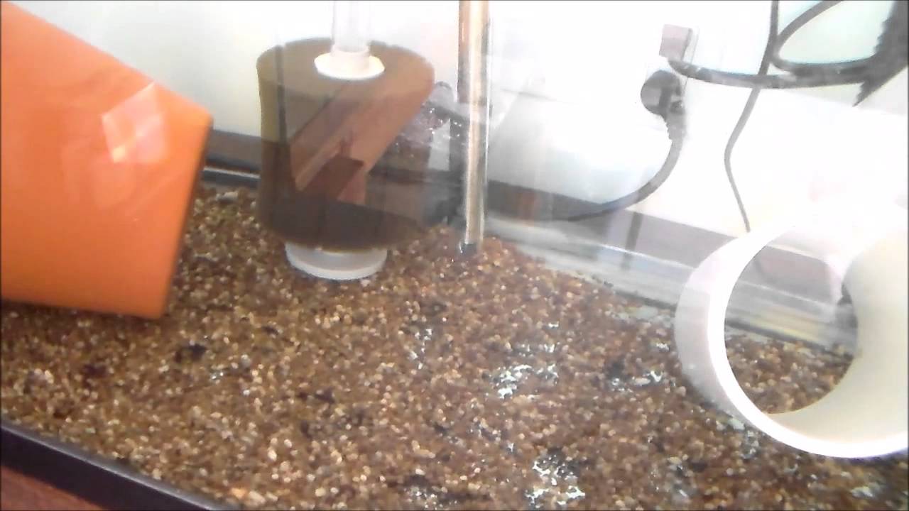 Garden State Tilapia - How to Build a Breeding Tank for Tilapia Part 2
