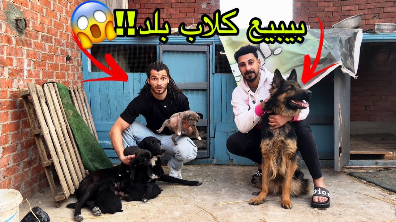 عاصم هنيدي اتحداني بكلبتو😱||  سلسة رمضان الجديدة ٢٤ ساعة مع حسن شيتا