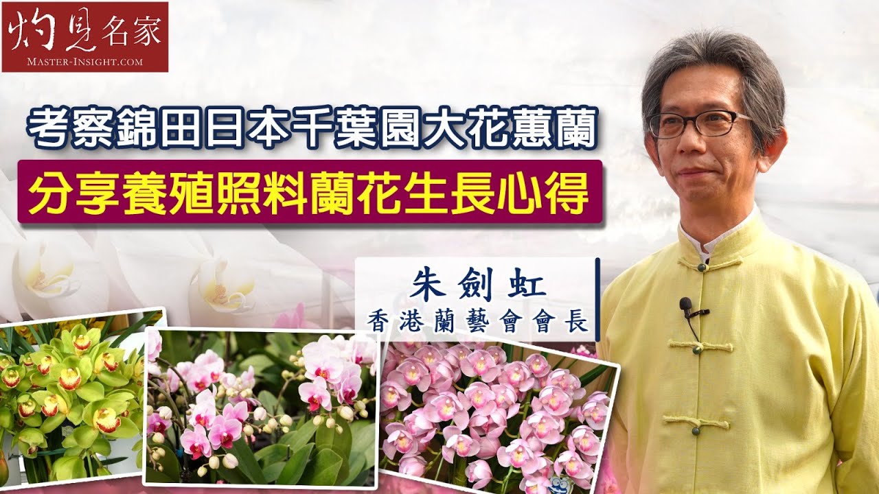 香港蘭藝會會長朱劍虹：考察錦田日本千葉園大花蕙蘭 分享養殖照料蘭花生長心得《辛丑牛年運程》（2021-02-11）
