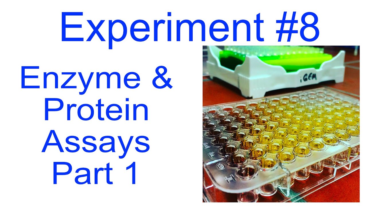 Enzyme and Protein Assays   Part 1