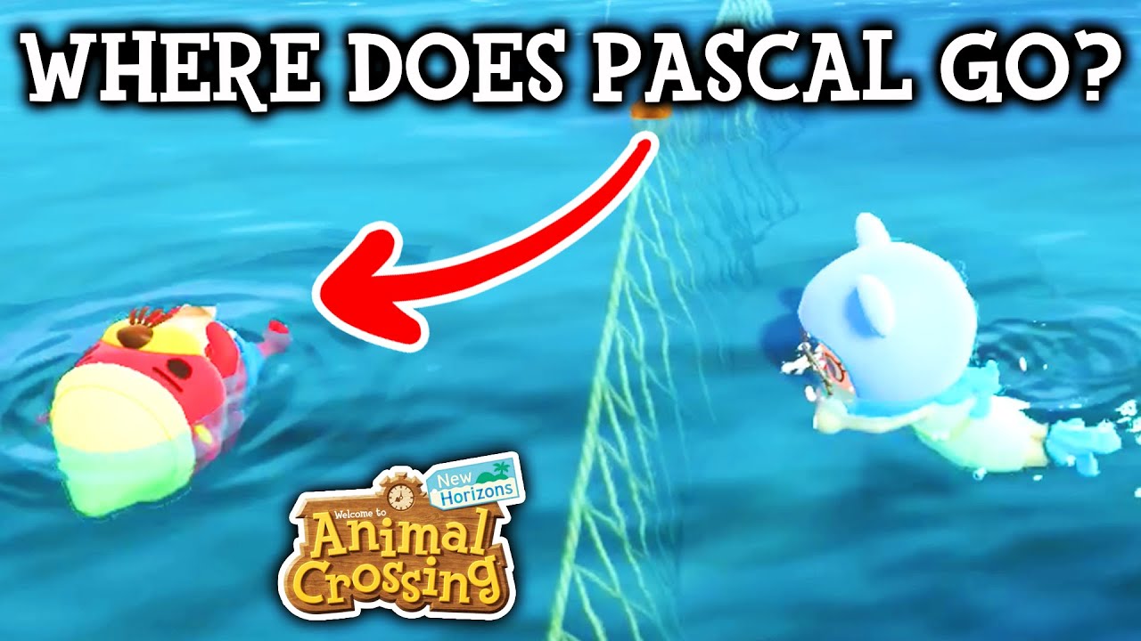 Вслед за Паскалем, преодолевая океанский барьер | Animal Crossing: Новые горизонты