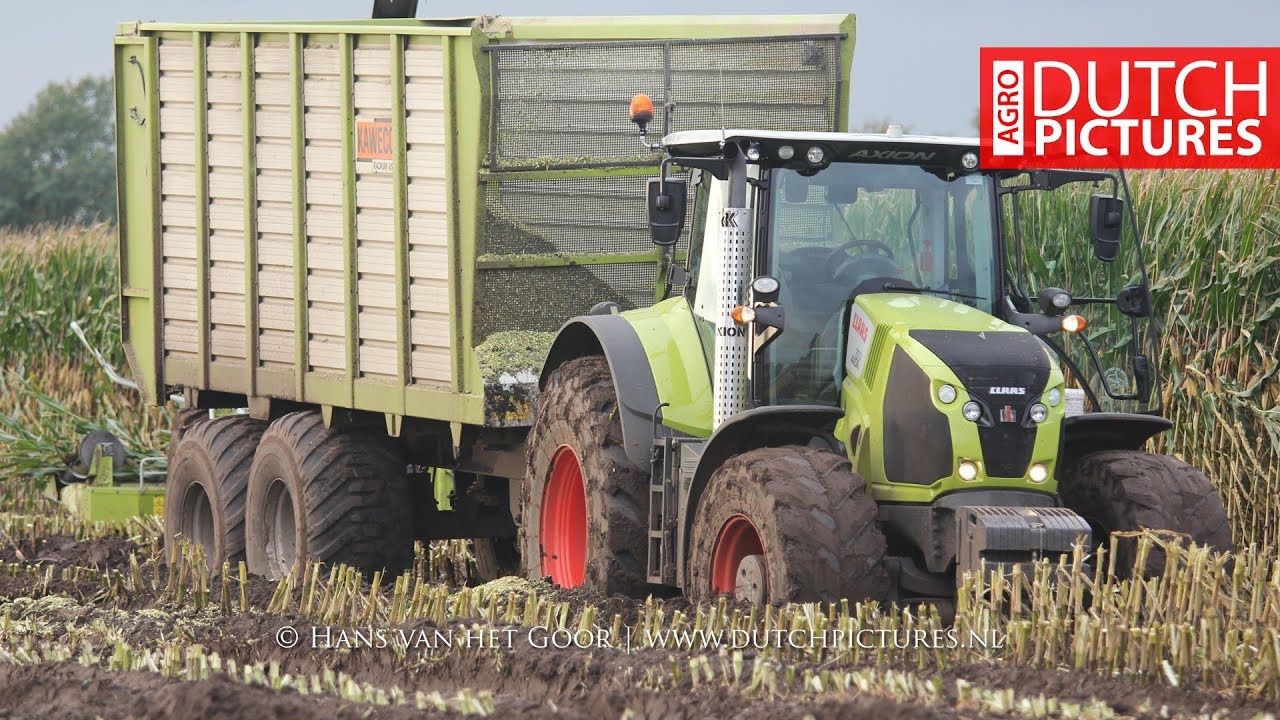 Claas vast in de modder | Claas stuck in the mud | Mais hakselen | Chopping corn | 2017