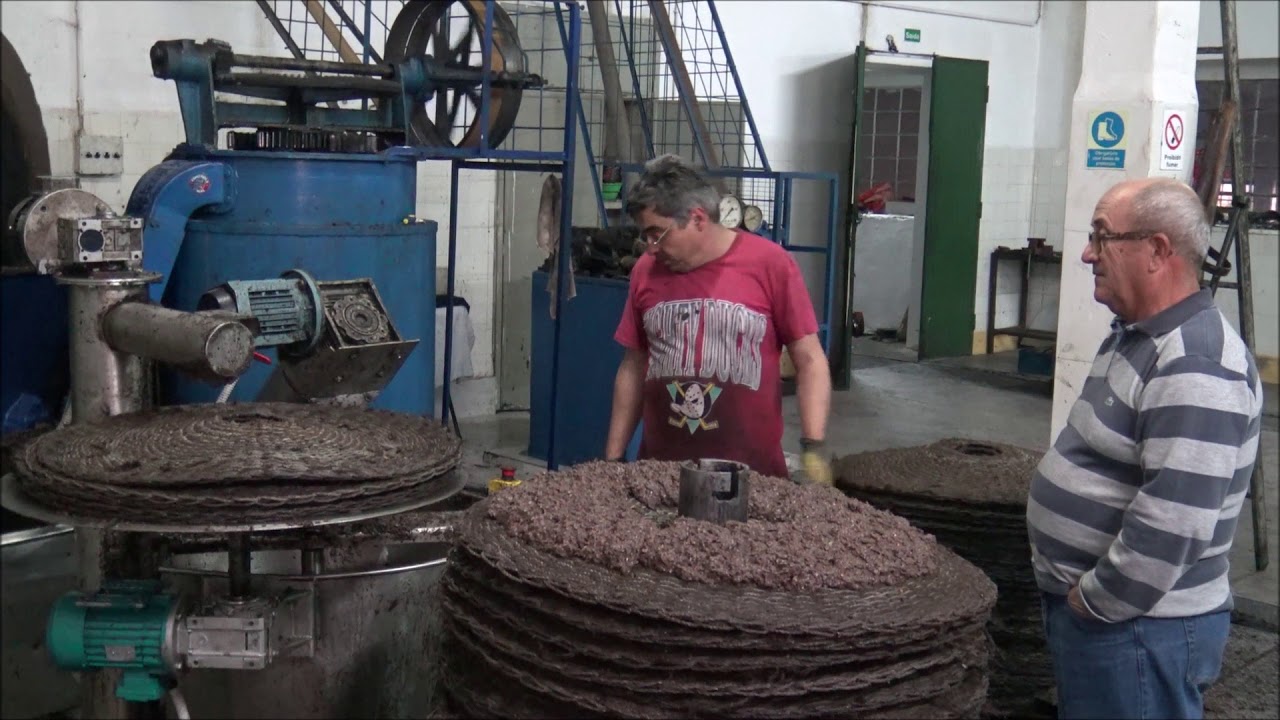 TRABALHO EM LAGAR DE AZEITE COOPERATIVA DE OLIVICULTORES DE ORTIGA MA&Ccedil;&Atilde;O 2017