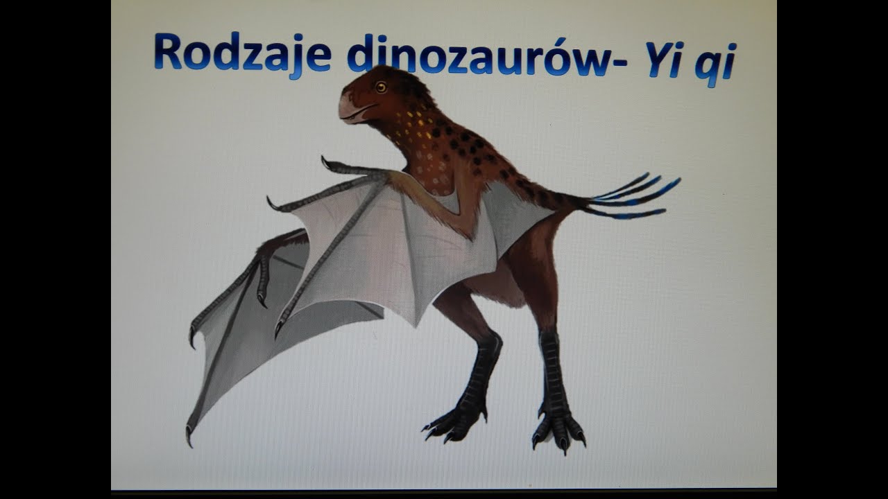 Najdziwniejszy znany dinozaur - Yi | Rodzaje dinozaurów #1