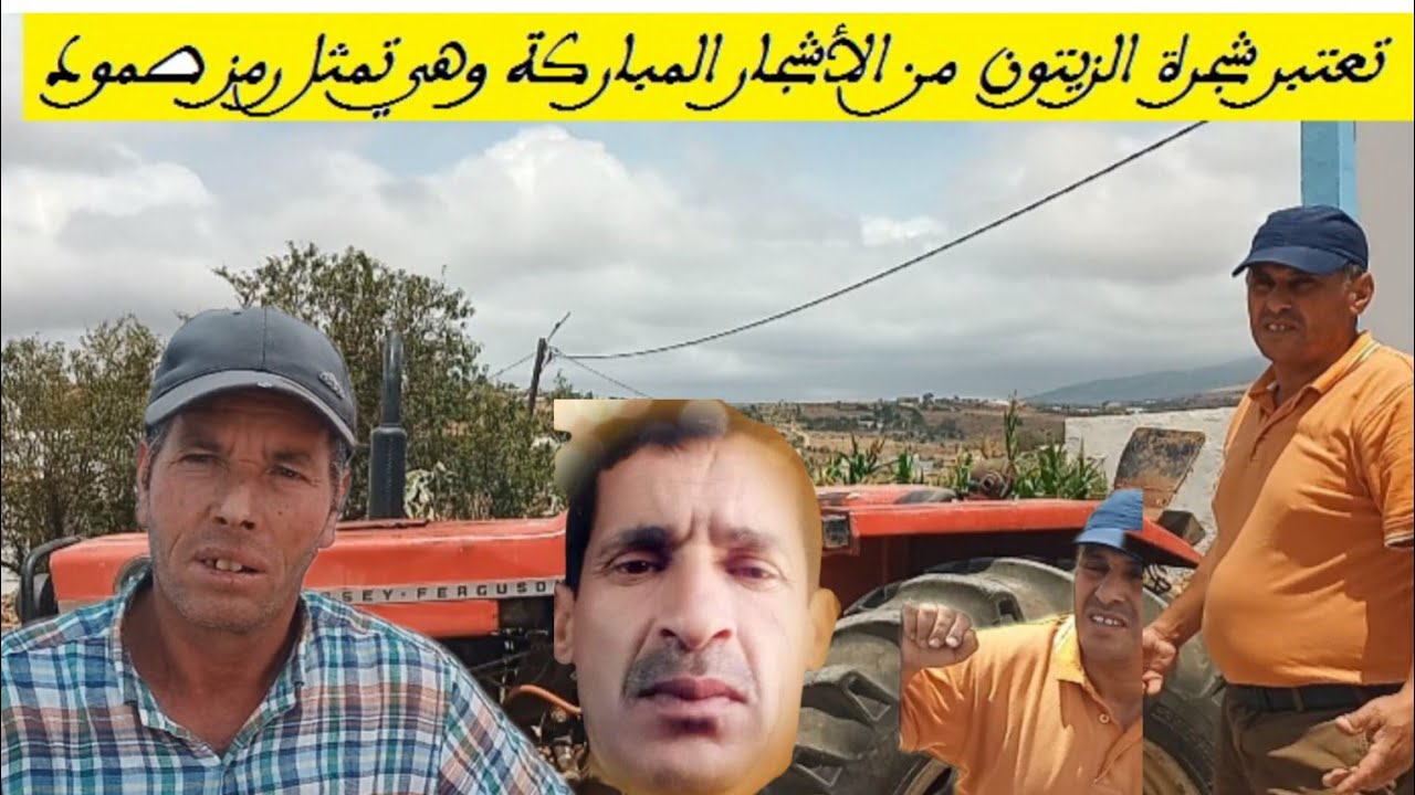 موسم سقي أشجار الزيتون مع رئيس تعاونية السعادة رشيد السقالي و عبد السلام المحمادي ب آيت سيذار نوذرار