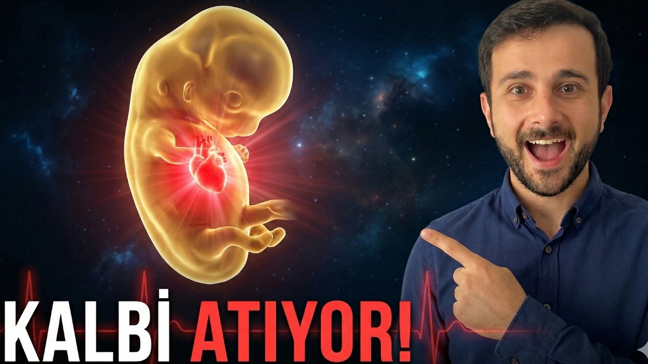 7 Haftalık Gebelikte Bebeğin Şaşırtıcı Gelişimi!