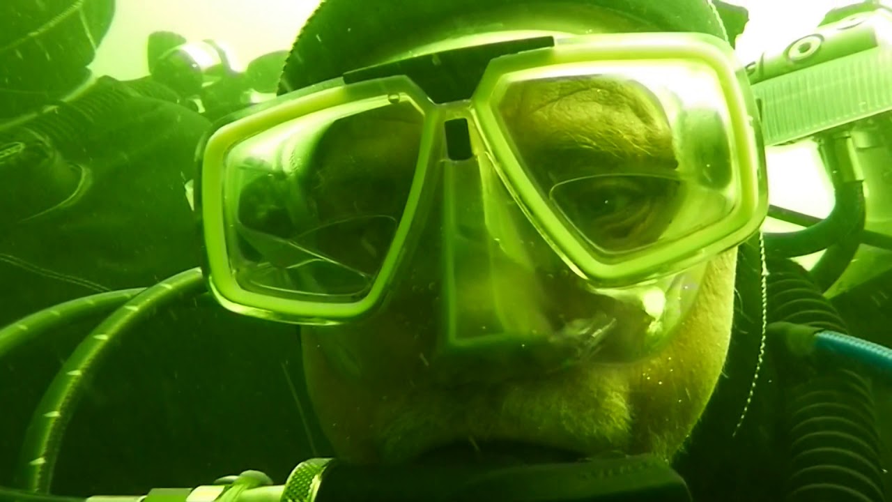 unheimliche Begegnung in den Mangroven des Waller Feldmarksee